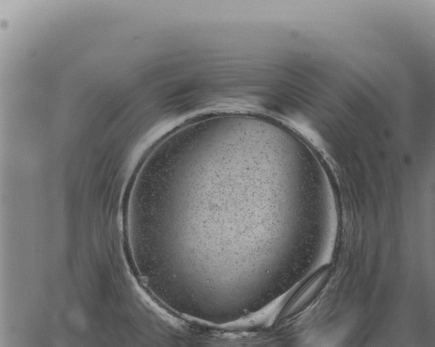 X0000063501335200601271735