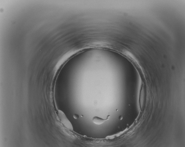 X0000063501336200601271735