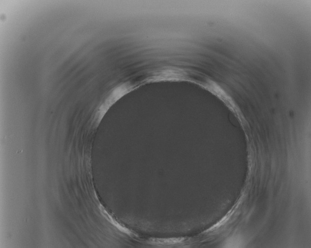 X0000063501337200601271735