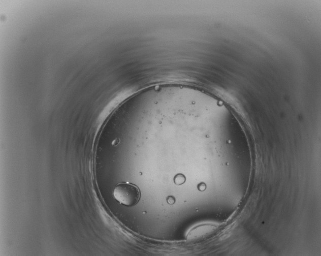 X0000063501338200601271735