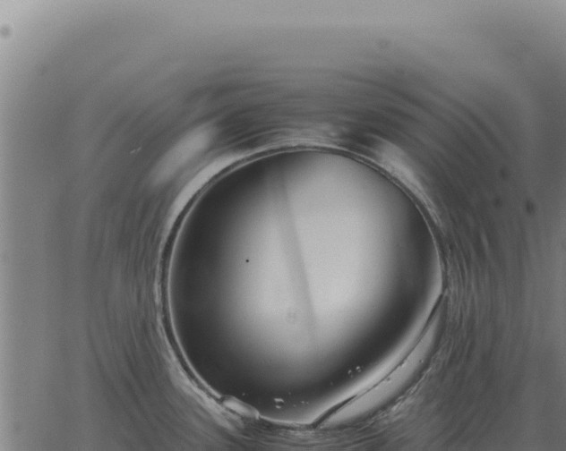 X0000063501339200601271735