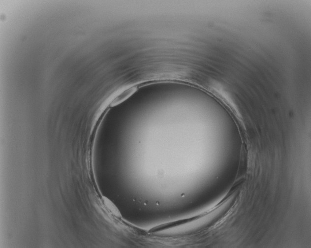 X0000063501340200601271735