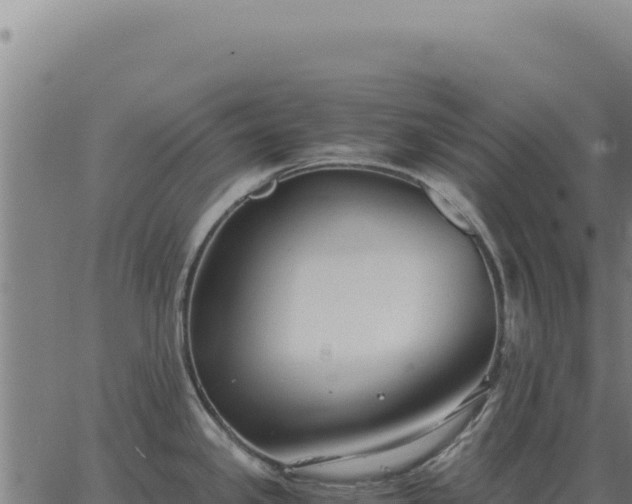 X0000063501341200601271735