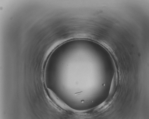 X0000063501342200601271735