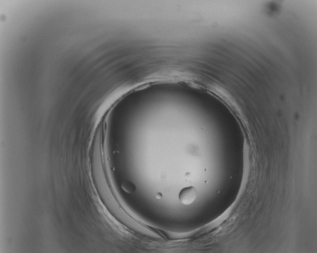 X0000063501344200601271735