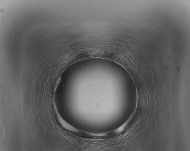 X0000063501345200601271735