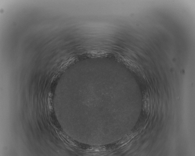 X0000063501346200601271735