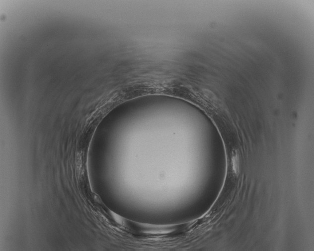 X0000063501347200601271735