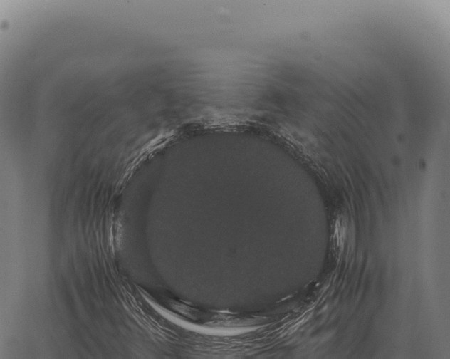 X0000063501348200601271735