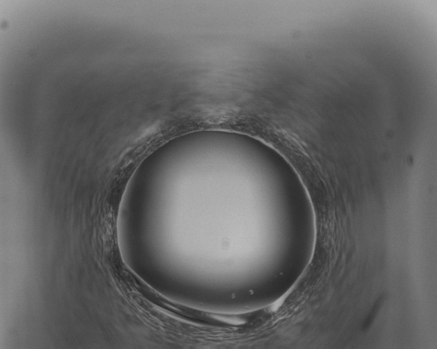 X0000063501349200601271735