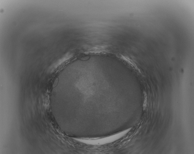 X0000063501350200601271735