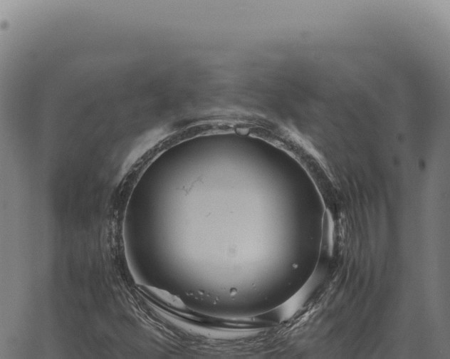 X0000063501352200601271735