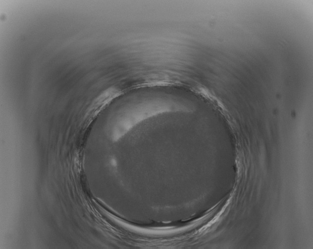 X0000063501353200601271735