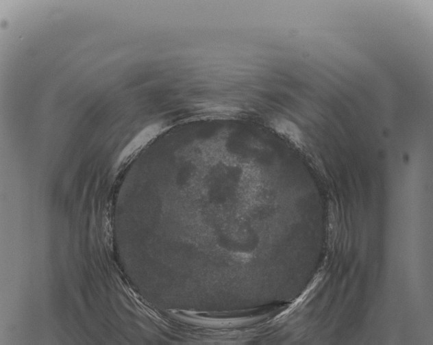 X0000063501354200601271734