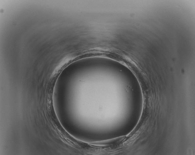 X0000063501355200601271734