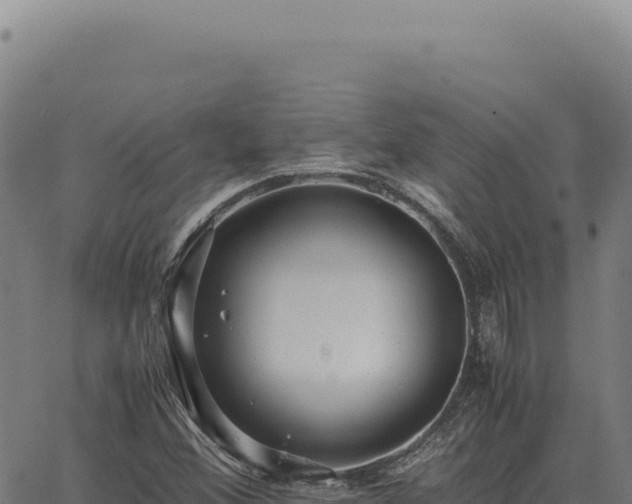 X0000063501356200601271734