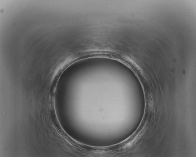 X0000063501357200601271734