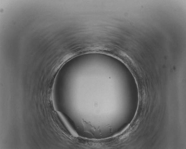 X0000063501361200601271734