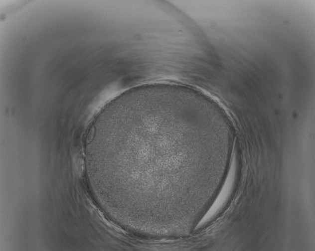 X0000063501363200601271734