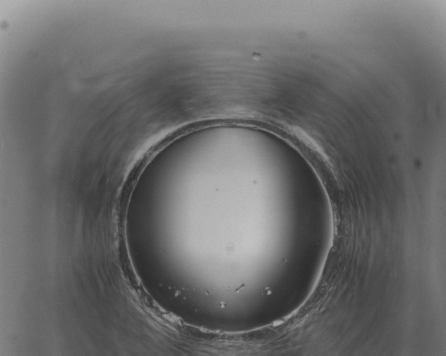 X0000063501364200601271734