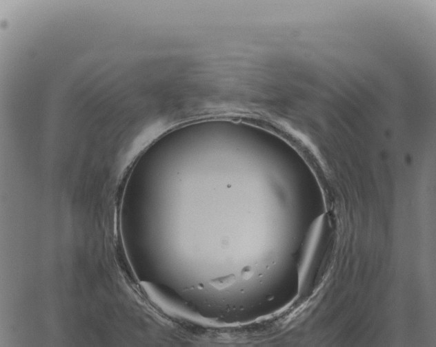 X0000063501365200601271734