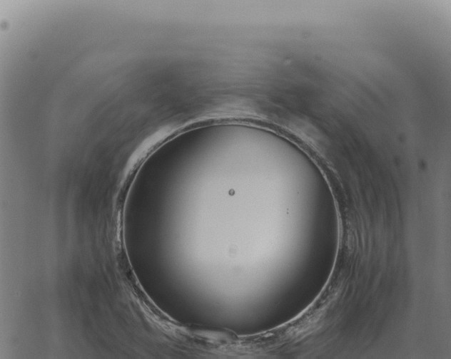 X0000063501366200601271734