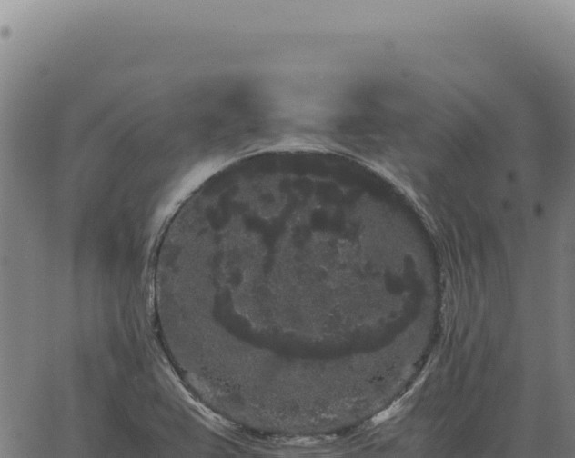 X0000063501367200601271734