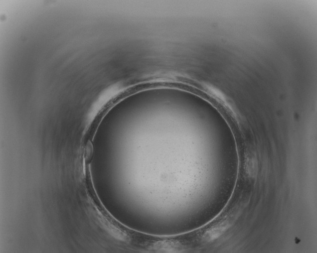 X0000063501368200601271734