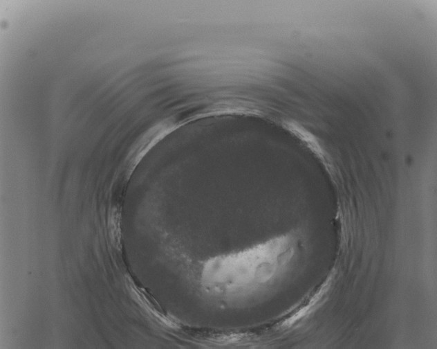 X0000063501369200601271734