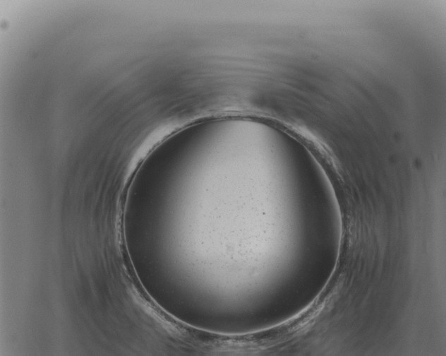 X0000063501374200601271734