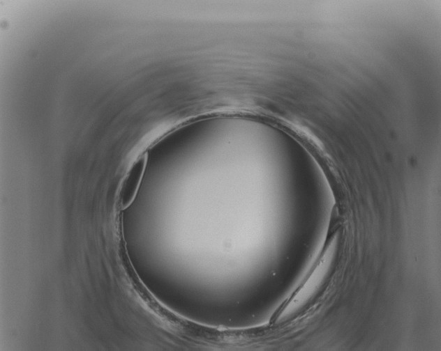 X0000063501375200601271734