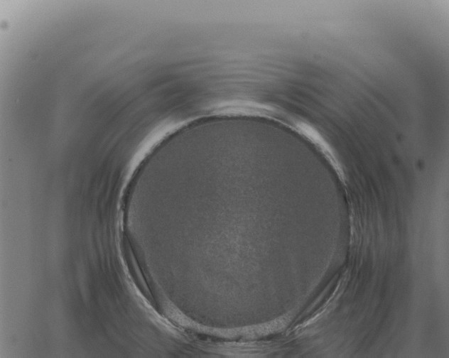 X0000063501376200601271734