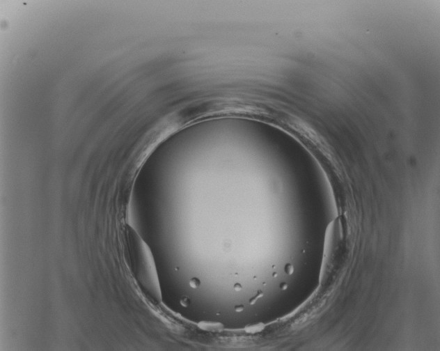 X0000063501377200601271734