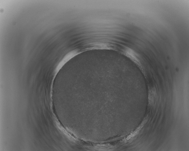 X0000063501378200601271734