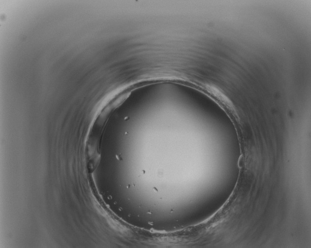 X0000063501380200601271734