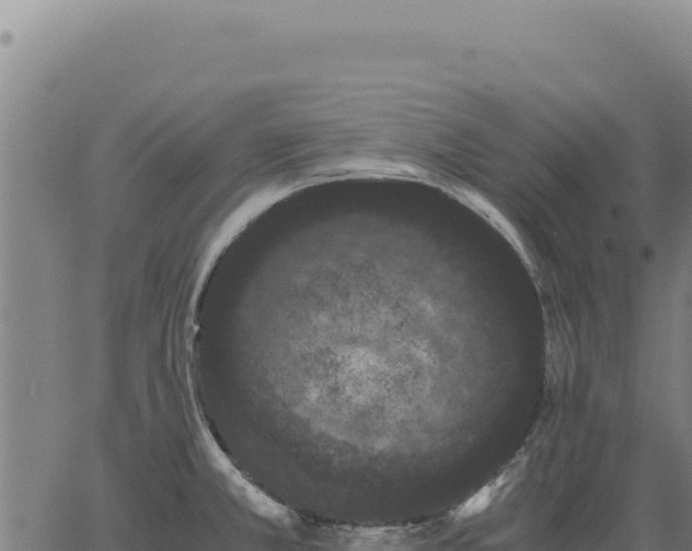 X0000063501381200601271734