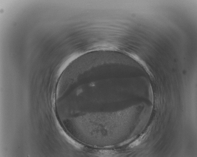 X0000063501383200601271734