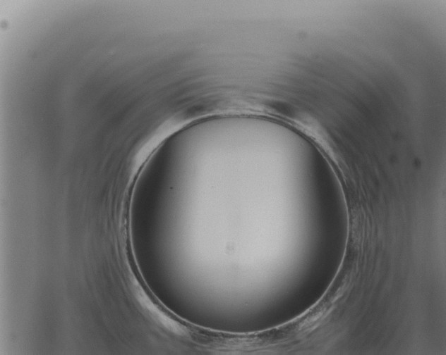 X0000063501387200601271734