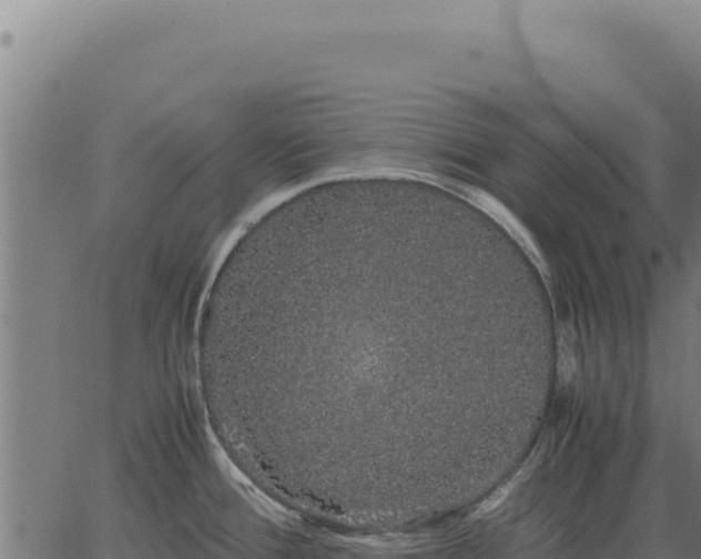 X0000063501388200601271734