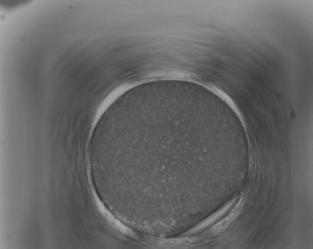 X0000063501389200601271734