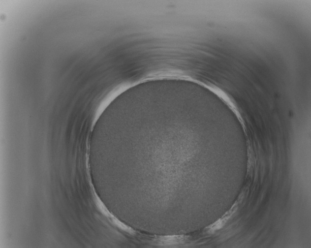 X0000063501390200601271734