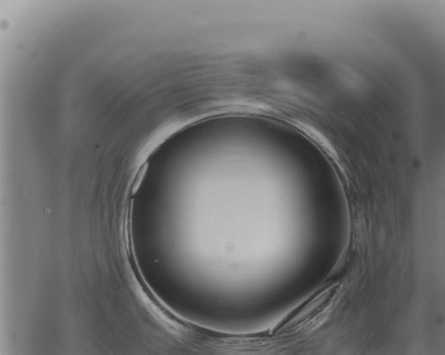 X0000063501391200601271734