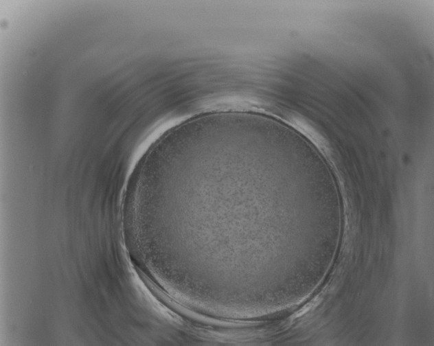 X0000063501392200601271734