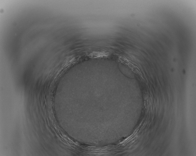 X0000063501393200601271733