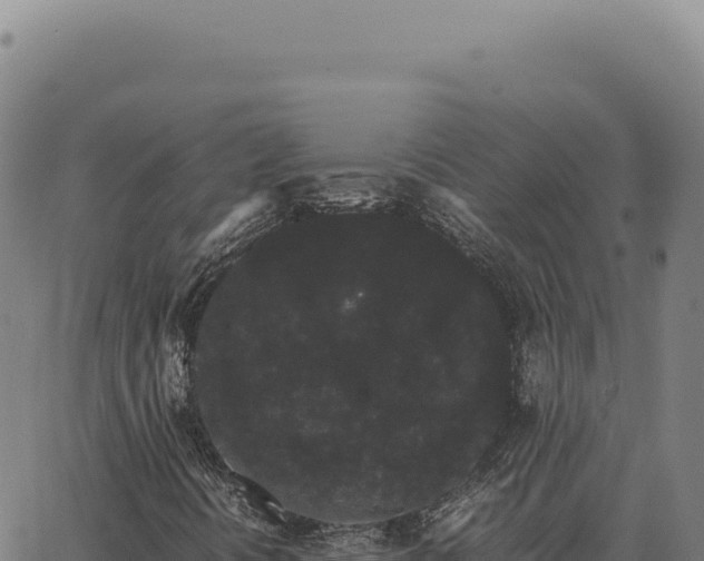 X0000063501394200601271733