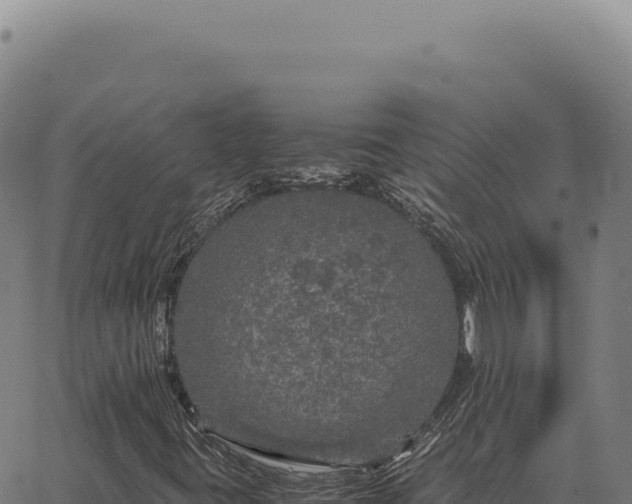 X0000063501395200601271733