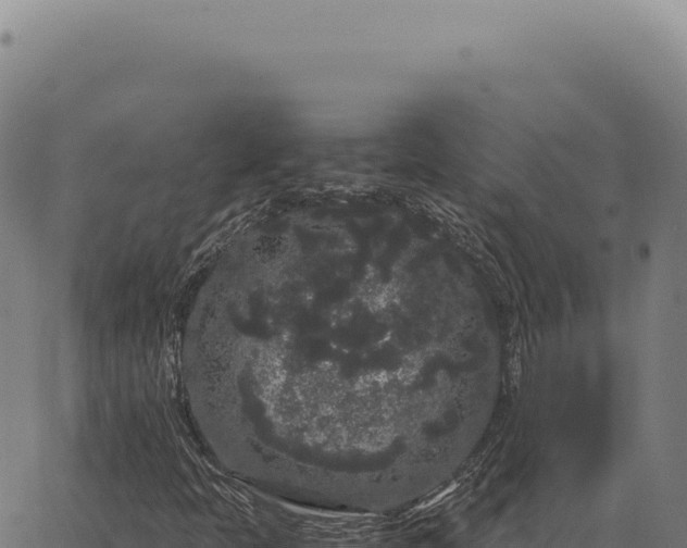 X0000063501397200601271733