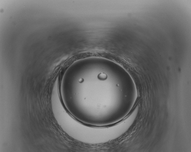 X0000063501398200601271733