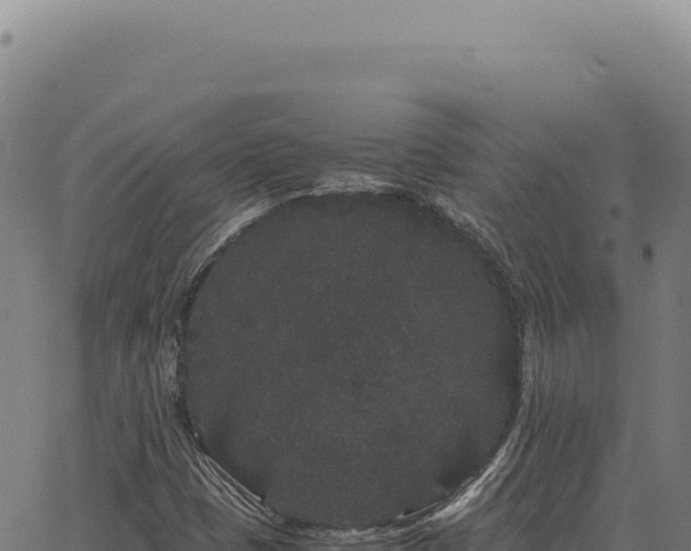 X0000063501401200601271733