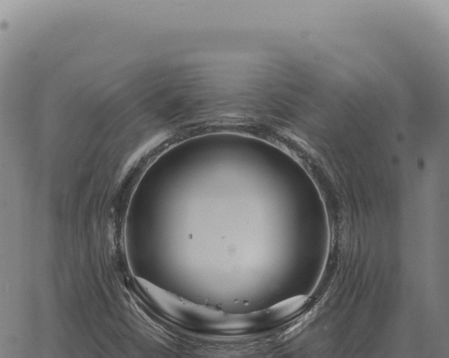 X0000063501402200601271733